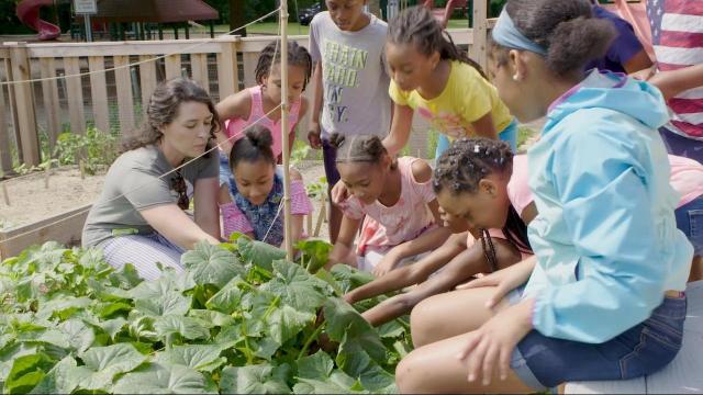 Sprout Scouts: Elementary students learn food growing skills