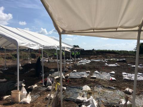 Remains of Black People Forced Into Labor After Slavery Are Discovered in Texas