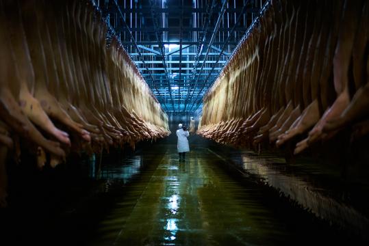 RESTRICTED -- If You Eat Meat, Brace Yourself: Documentary Makes Case Against Factory Farming