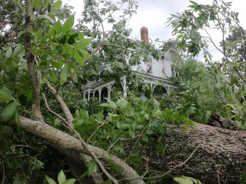 Joe Tippett and his wife, Janice, were asleep in their home at the corner of Old Raleigh Road and Gentle Breeze Drive when a breeze that was anything but gentle rattled their windows and downed trees and branches.