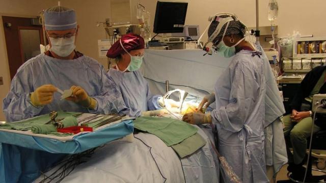 Dr. Andrea Hayes-Jordan performs a surgery. 

Photo courtesy: Dr. Andrea Hayes-Jordan