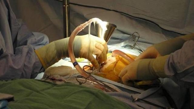 Dr. Andrea Hayes-Jordan performs a surgery. 

Photo courtesy: Dr. Andrea Hayes-Jordan