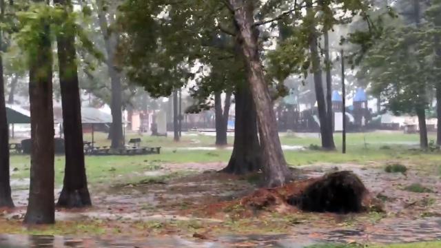 Tree in Mount Olive park knocked down by Florence