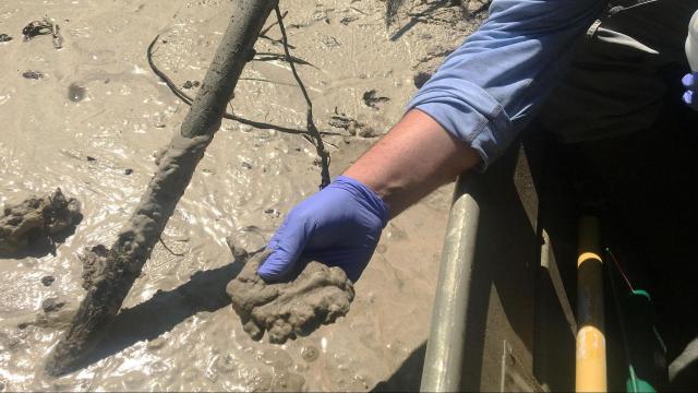 DEQ tests near Goldsboro coal ash spill show no spike in heavy metals