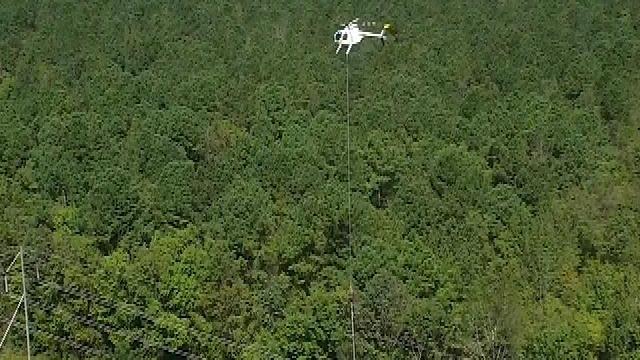 Raw: Duke Energy uses helicopters to cut trees, access power lines 