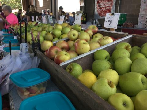 Apples at the State Farmers Market