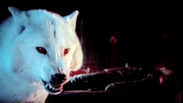 Jon Snow's direwolf Ghost is returning to 'Game of Thrones'