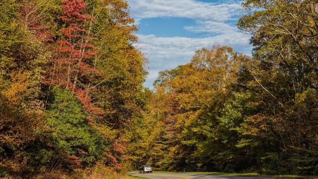 Peak color for leaves in NC mountains could be slightly delayed this fall