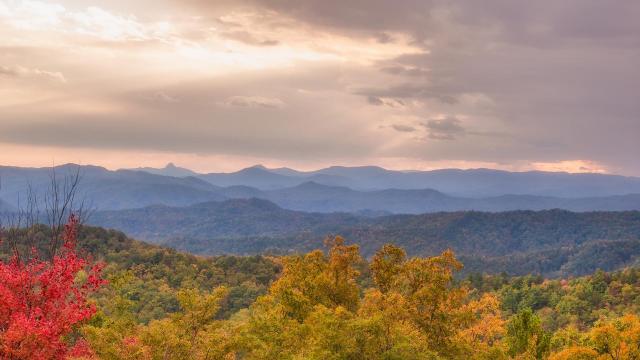 Fall in NC expected to be brighter, more colorful this year