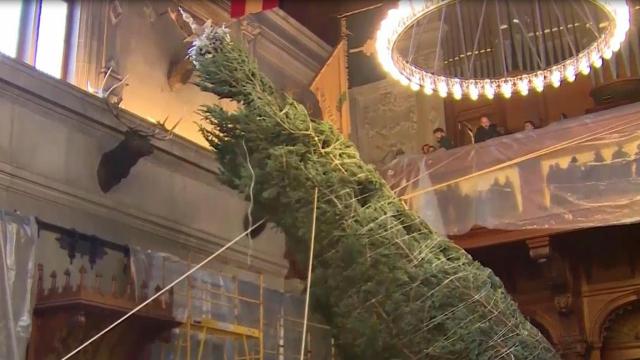 Biltmore kicks off holiday season with annual tree-raising