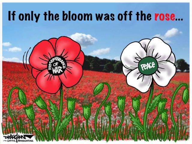ROSEMARY HASKELL: Poppies for War and Peace - 100 years since end of World War I