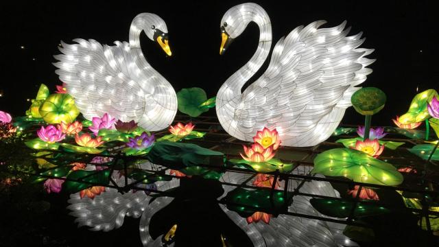 Events this week: Wine dinners, Chinese Lantern Festival