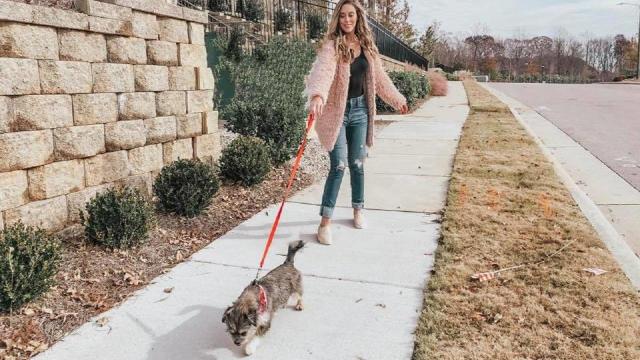 Kasey and her husband rescued a dog for Christmas!