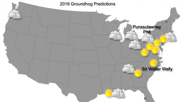 Groundhog Day: How accurate are the revealing rodents?