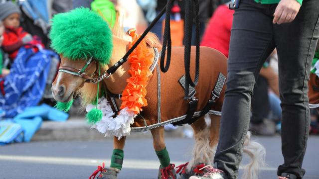 New rules announced for Raleigh St. Patrick's Day Parade