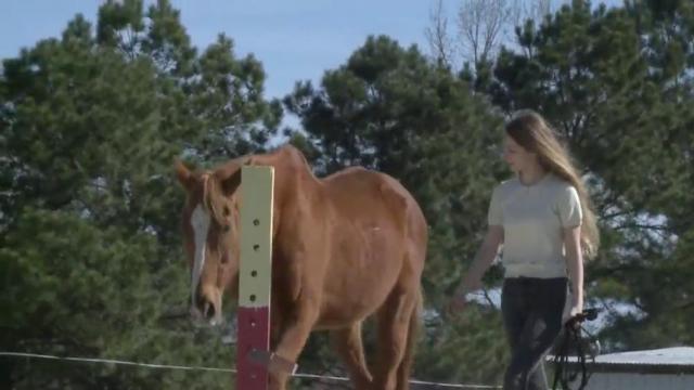 Cary riding academy connects at-risk girls with horses