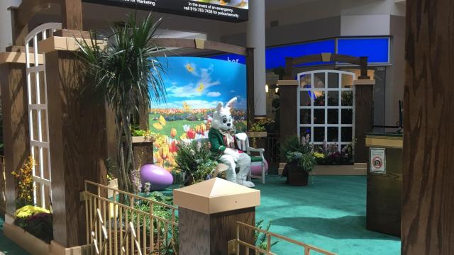 Here's when the Easter Bunny will start popping up at Raleigh area malls