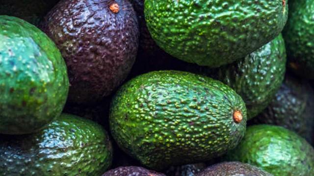 Possible listeria contamination prompts avocado recall