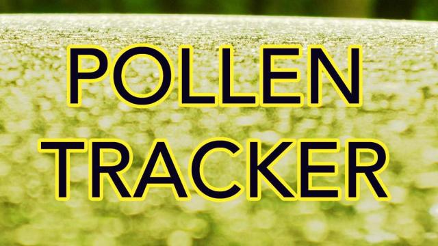 Pollen tracker: Monitor Raleigh's pollen count