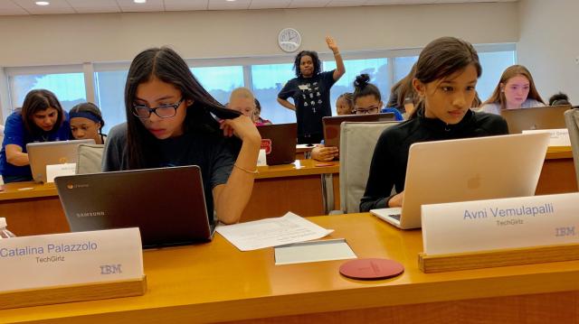 'Aha moment' - TechGirlz sets record for girls coding at the same time