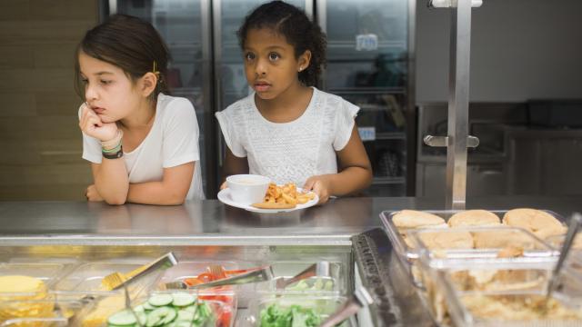 NC partnership connects local farmers to school meals