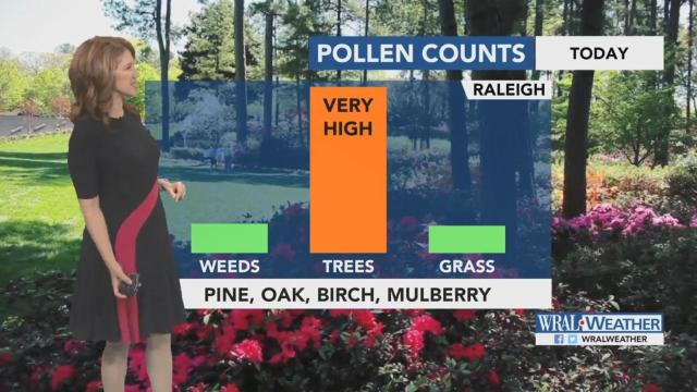 Wednesday had the second-highest pollen count; tree pollen stays high Thursday