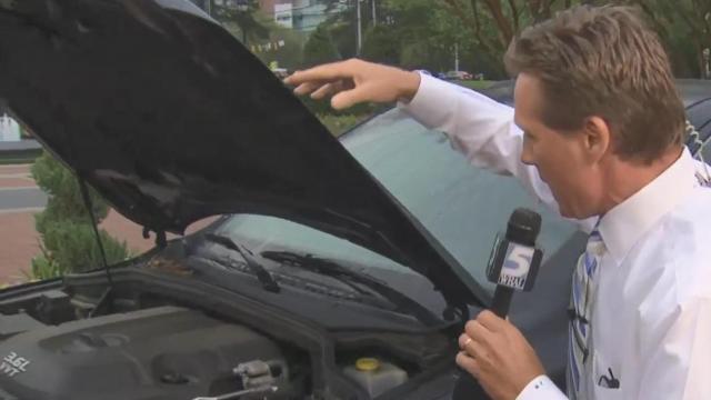 Pollen is troublesome for cars during spring maintenance