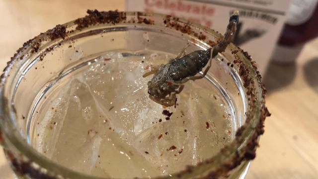 Bugs take center stage during exotic meat month at Bull City Burger