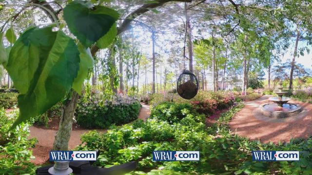 Get a 360-degree view of the WRAL Azalea Gardens