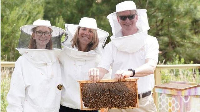 More bees will be buzzing in Triangle as Bee Downtown adds 3 more partners