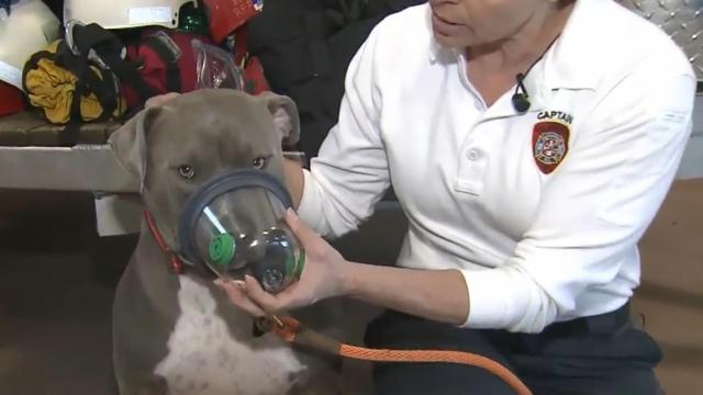Durham veterinarian donates tools to save pets caught in fire
