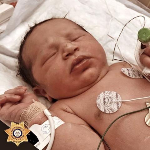 Baby Found in a Plastic Bag in the Woods Spurs Hundreds of Adoption Offers
