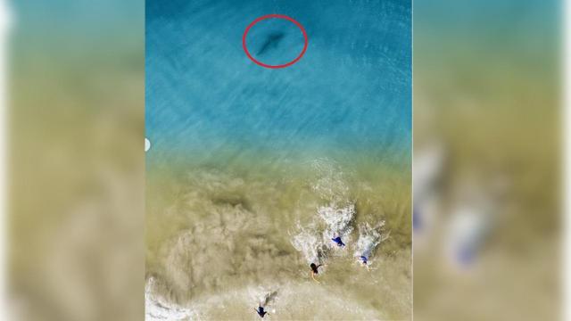 Dad claims drone helped him spot shark swimming near kids on Florida beach