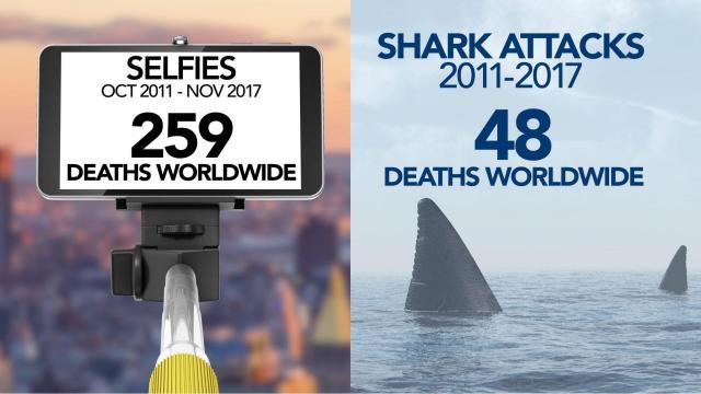 More people die from selfies than shark attacks, experts say 