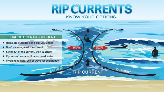 Rip currents: Know your options

Image courtesy: The National Weather Service
