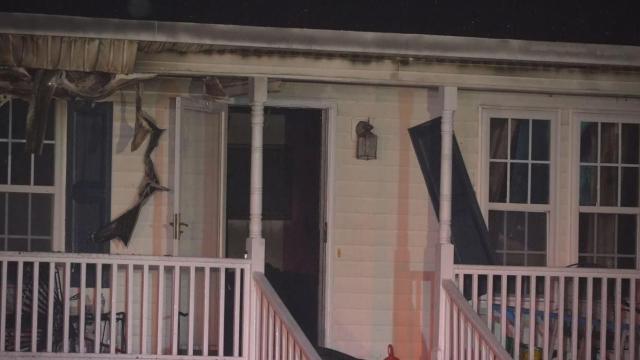 Cat rescued from Angier house fire