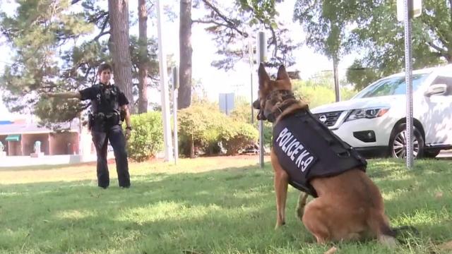 Donation gives Carrboro K9s stab-proof, bullet-proof vests