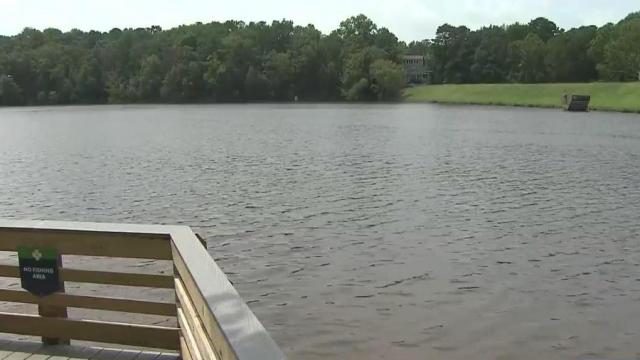 Blue-green algae found in some NC lakes and ponds could be toxic to dogs, experts say