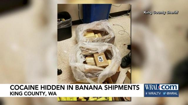 Grocery stores in Washington state receive cocaine hidden in bananas