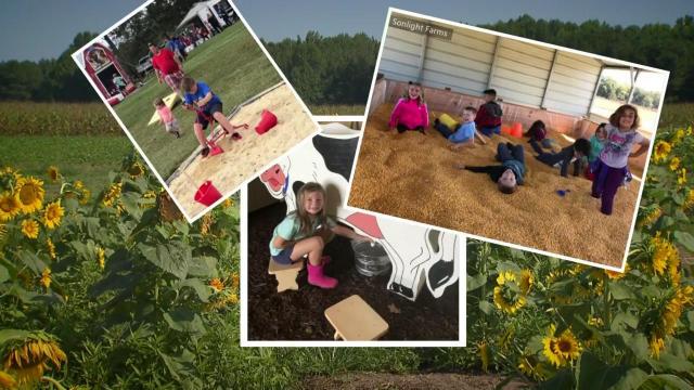 Summer's last Nooks and Crannies is a launching point for fall farm fun