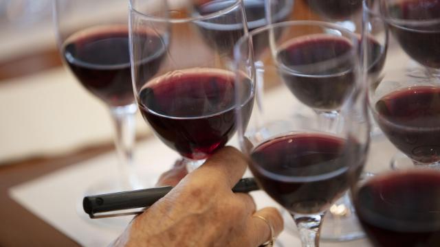 Compound found in red wine could treat depression