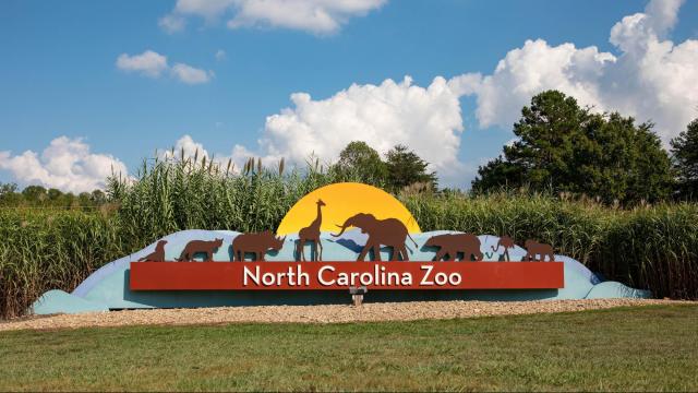 NC Zoo reopens, tickets must be purchased in advance 