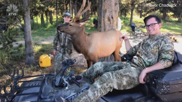 Elk befriends hunters in Idaho