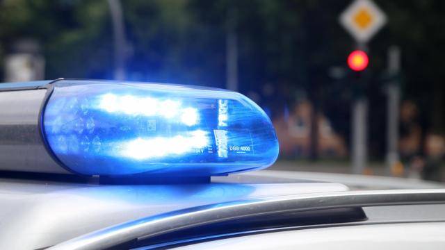 Man arrested after carjacking Mount Olive police officer's patrol car 