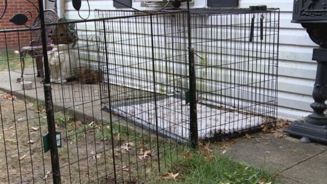 Trespasser crawls into dog cage when confronted by homeowners