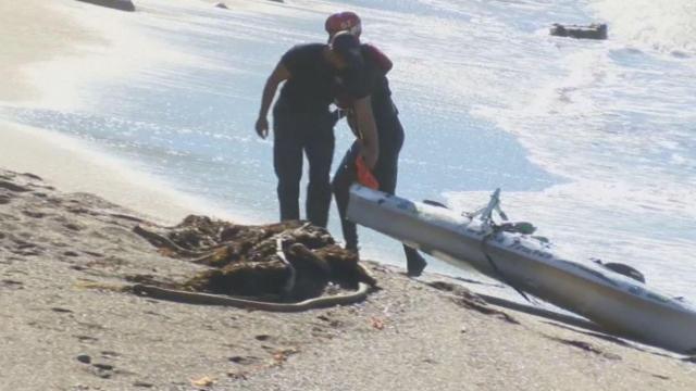 Man says shark bit his kayak, threw him into ocean