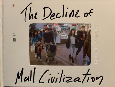 The Decline of Mall Civilization By Michael Galinsky