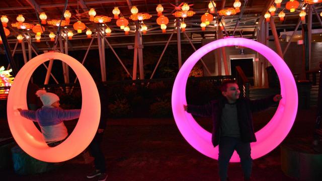 Chinese Lantern Fest adds swings, dinosaurs