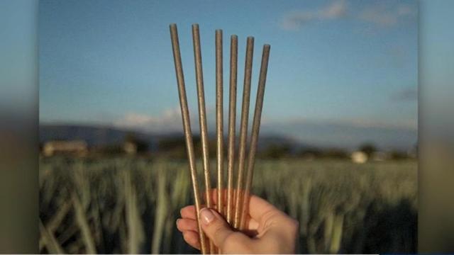 Jose Cuervo launches agave biodegradable straws