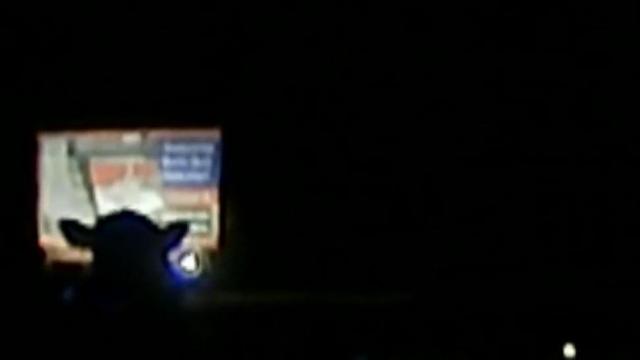 Dashcam video, radio traffic detail memorable shift when troopers wrangled bull on I-95